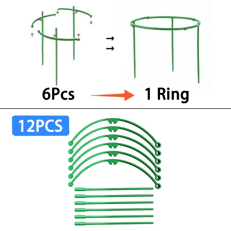 12Pcs