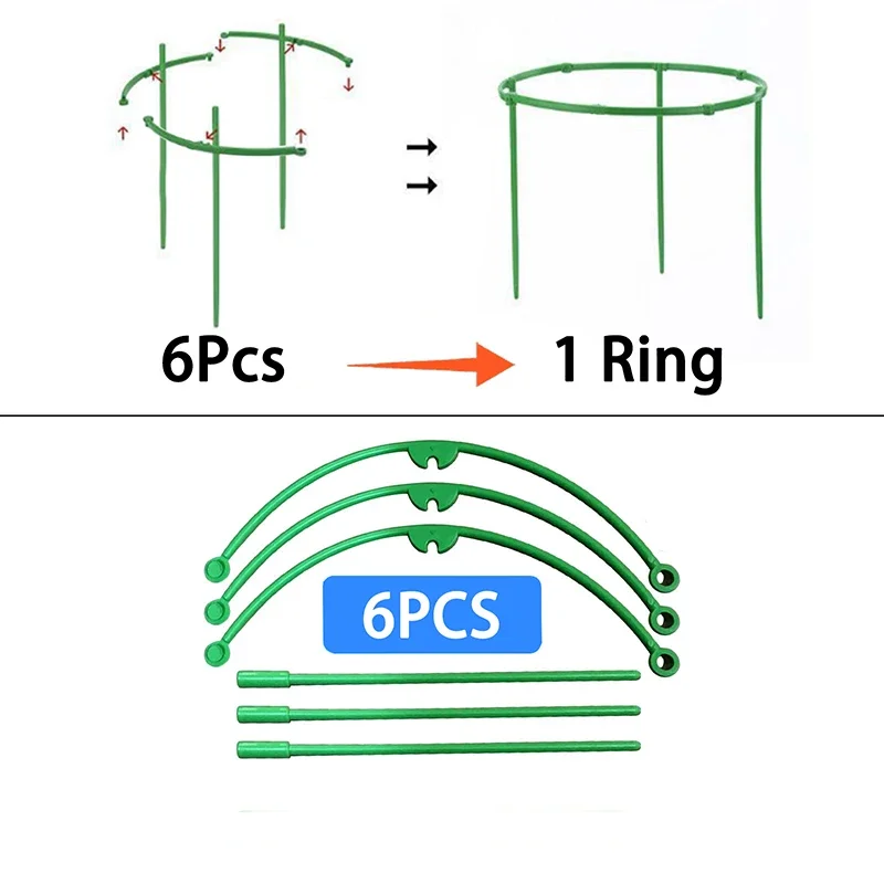 6Pcs